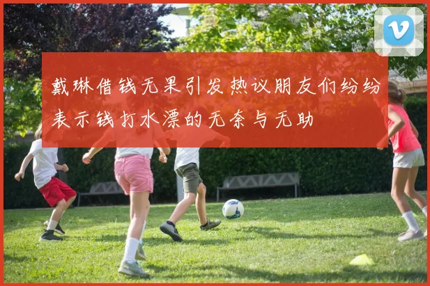 戴琳借钱无果引发热议朋友们纷纷表示钱打水漂的无奈与无助