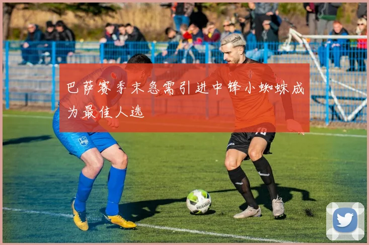 巴萨赛季末急需引进中锋小蜘蛛成为最佳人选