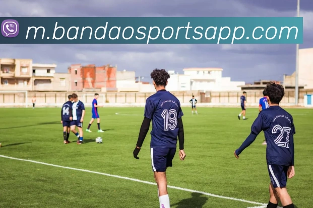 半岛体育平台生态图