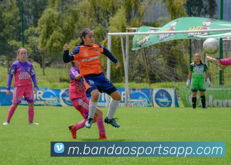 半岛体育APP 封面图